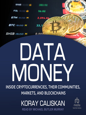 Data Money - Audiobook